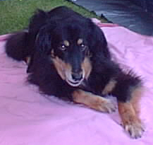Molly